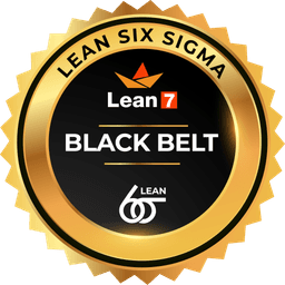 Lean Six Sigma